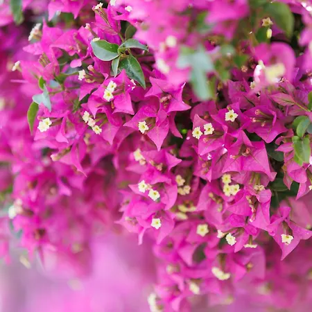 Hotel Satori Boutique