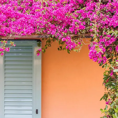 Satori Boutique Hotel